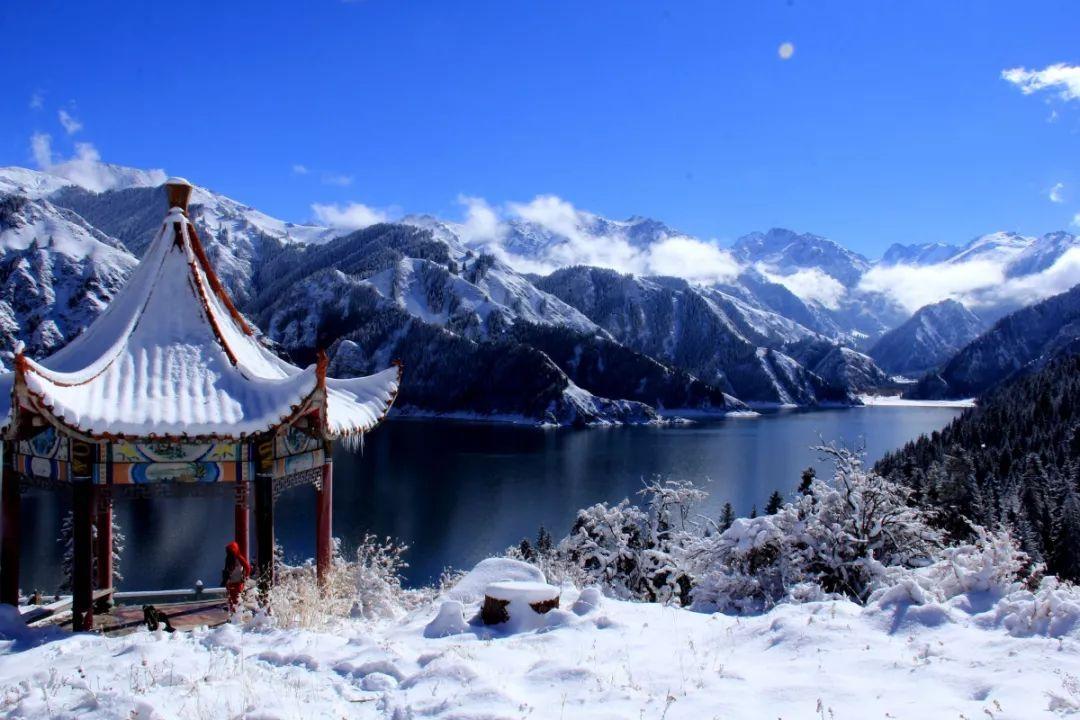你觉得什么样的老年生活才是理想的呢？游戏画面
